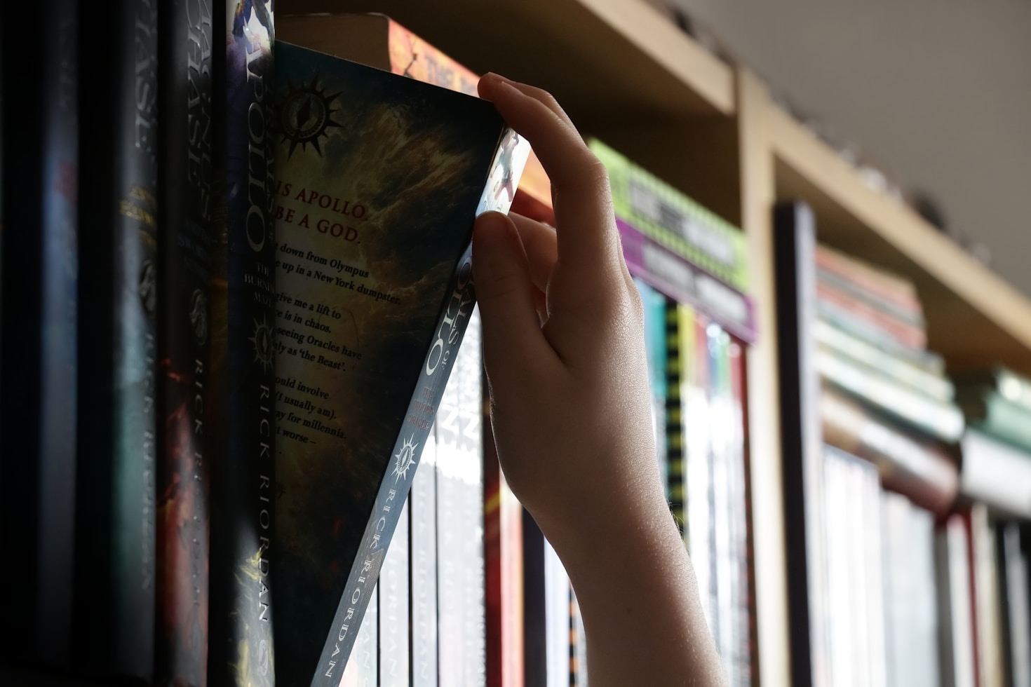 How to Start Your Own Collection: A Beginner’s Guide