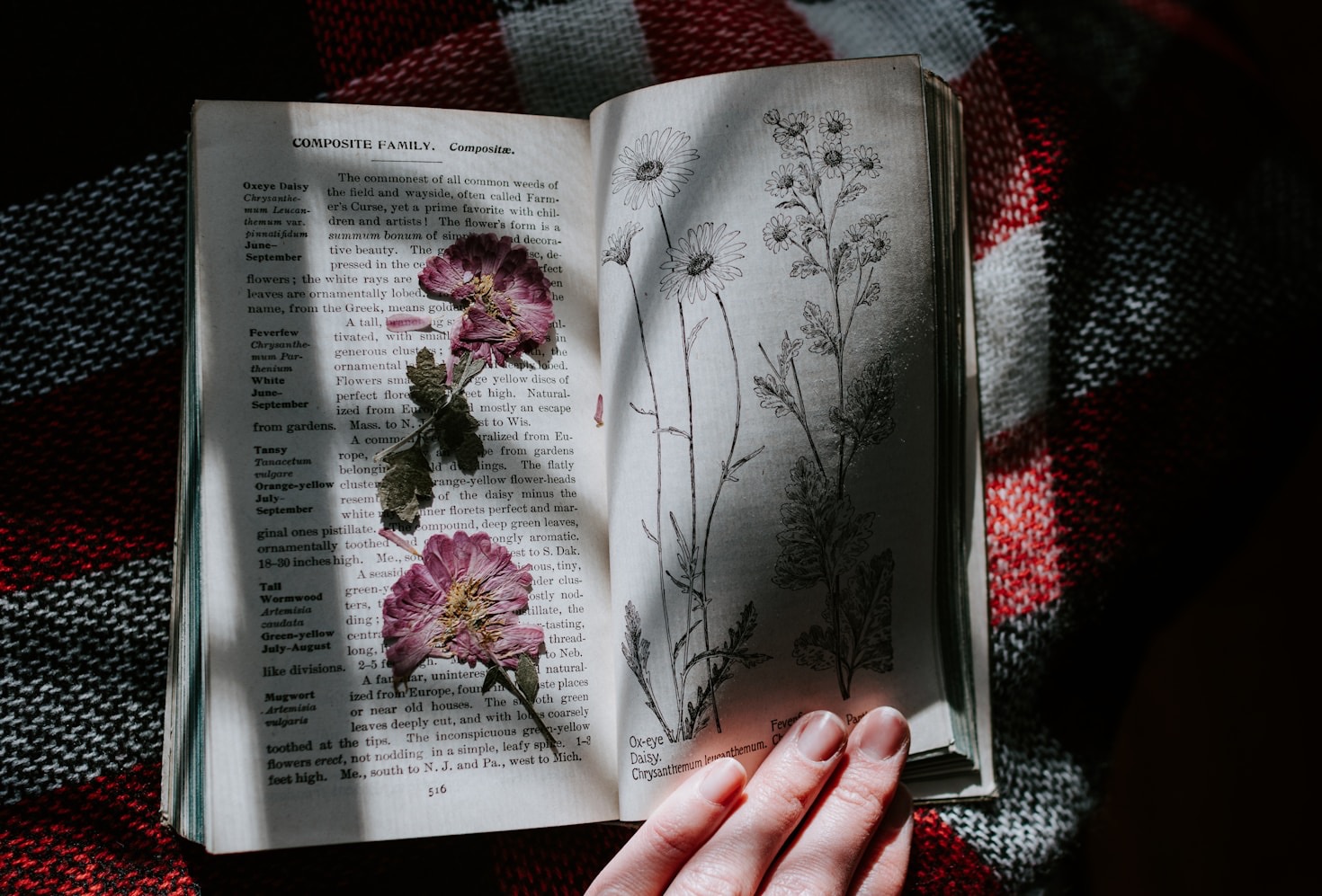 The Psychology Behind the Passion for Collecting